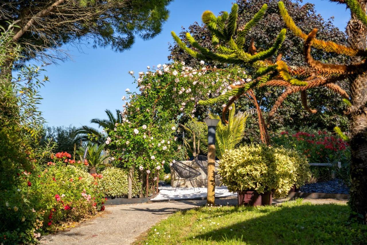 Fronsac  Le Bassin Du Tertre B&B 외부 사진