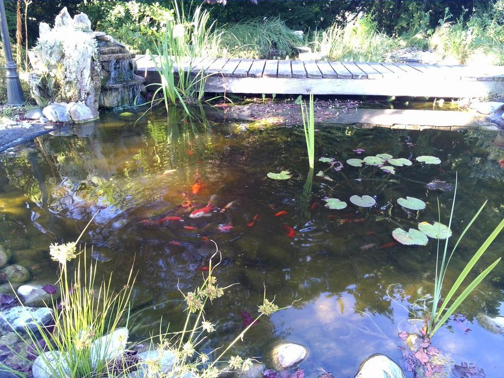 Fronsac  Le Bassin Du Tertre B&B 외부 사진